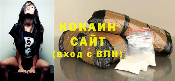 стаф Арсеньев