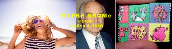 стаф Арсеньев