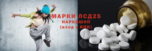 гидра Аркадак