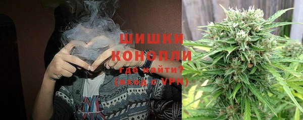 стаф Арсеньев