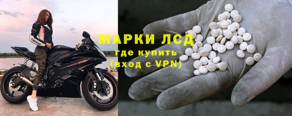 стаф Арсеньев